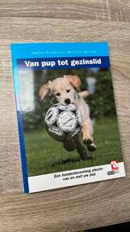 Veronica Garrelds - Van pup tot gezinslid, Veronica Garrelds; Debbie Rijnders, Ophalen of Verzenden, Zo goed als nieuw, Paarden of Pony's