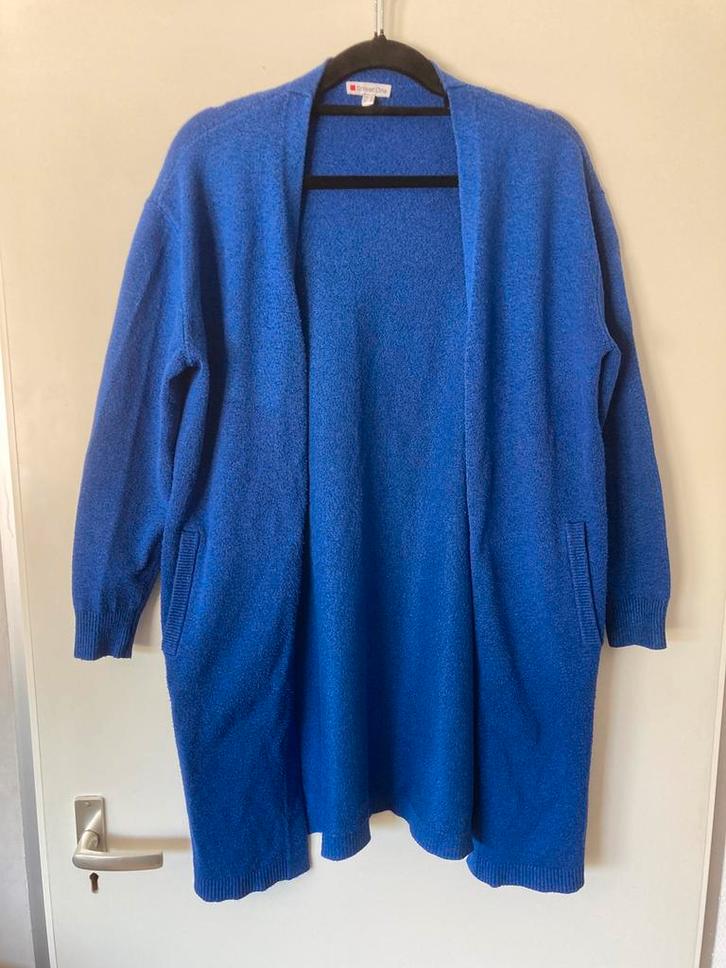 Vest dames maat 36 blauw, Kleding | Dames, Truien en Vesten, Gedragen, Maat 36 (S), Blauw, Ophalen of Verzenden