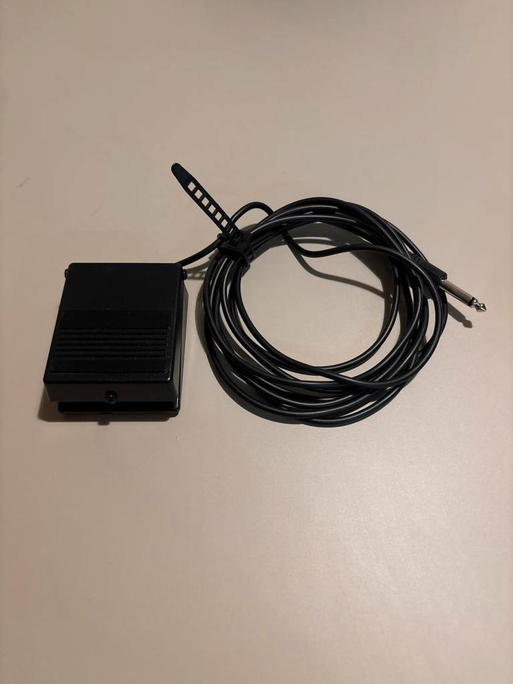 Roland DP-2 Pedal Switch - Nieuw in Doos!, Muziek en Instrumenten, Instrumenten | Toebehoren, Nieuw, Keyboard of Synthesizer, Ophalen of Verzenden