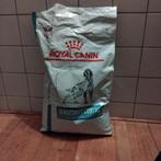 Royal Canin droogvoer, wegens verandering brokken, Dieren en Toebehoren, Ophalen, Hond