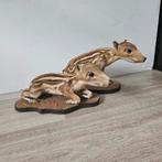 Opgezette jonge wilde zwijntjes Frisling opgezet taxidermie, Verzamelen, Ophalen of Verzenden, Zo goed als nieuw, Vogel, Opgezet dier