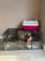 Hamster Kooi, Minder dan 60 cm, Kooi, Minder dan 75 cm, Ophalen of Verzenden