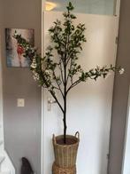 Grote kunstplant met pot, Ophalen, Zo goed als nieuw, Binnen