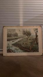 Oude schoolplaat - op de weide, Antiek en Kunst, Antiek | Schoolplaten, Ophalen, Natuur en Biologie