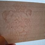 Proefdruk - Zuid-Afrika 50 Rand, Postzegels en Munten, Ophalen of Verzenden, Zuid-Afrika