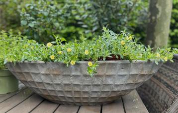 Grote plantenbak (80 cm) PTMD Bloembak bootmodel XXL beschikbaar voor biedingen