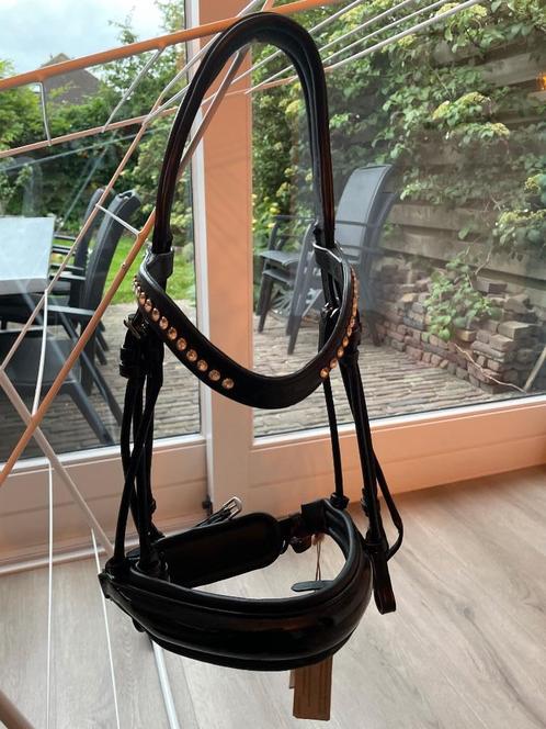 Dyon Stang en Trens Hoofdstel, Dieren en Toebehoren, Paarden en Pony's | Hoofdstellen en Tuigage, Nieuw, Dressuur, Ophalen of Verzenden