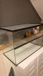 Glazen hamster kooi, Dieren en Toebehoren, Knaagdieren en Konijnen | Hokken en Kooien, Kooi, Minder dan 75 cm, Zo goed als nieuw