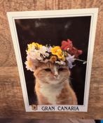 Mooie rode kat met bloemen op zijn kopje, Verzenden, Voor 1920, Ongelopen, Hond of Kat