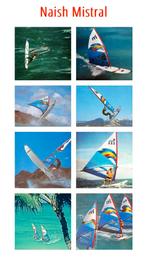 MISTRAL NAISH 1981 compleet en originele staat, Ophalen, 300 cm of meer, Met vin(nen), Complete set