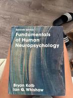 Fundamentals of Human Neuropsychology, Boeken, Studieboeken en Cursussen, Ophalen of Verzenden, Beta, Zo goed als nieuw, WO