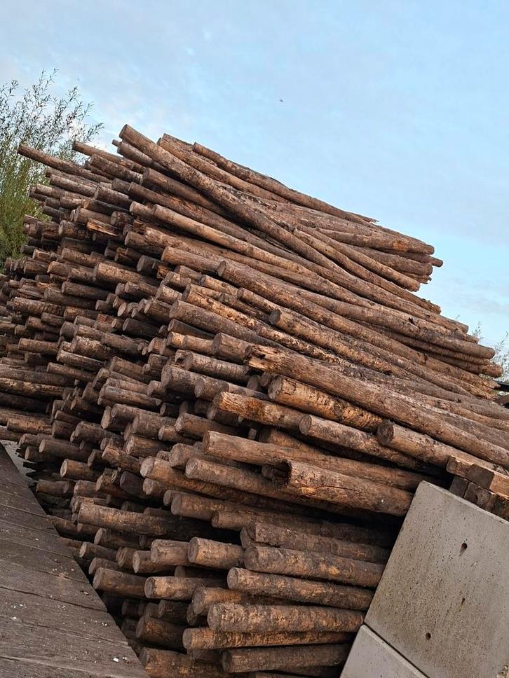 Ronde palen | gepunt, Tuin en Terras, Palen, Balken en Planken, Zo goed als nieuw, Palen, 250 cm of meer, Ophalen of Verzenden