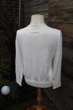 Vest ecru kant Purdey Sey Studio mt XXL Vaste prijs AANBIEDI, Kleding | Dames, Sey Studio, Beige, Maat 46/48 (XL) of groter, Ophalen of Verzenden