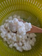 Kefirkorrels melkkefir om zelf kefir te maken, Ophalen