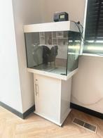 Juwel aquarium 120 LED wit, Dieren en Toebehoren, Vissen | Aquaria en Toebehoren, Ophalen of Verzenden, Zo goed als nieuw, Leeg aquarium