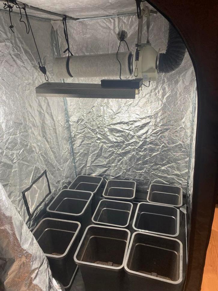 Complete Kweek Tent Set, Tuin en Terras, Kweekspullen, Gebruikt, Kweektent, Ophalen