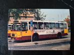 1 foto ZuidOoster bus 6449 10x15 cm, Verzamelen, Spoorwegen en Tramwegen, Ophalen of Verzenden, Zo goed als nieuw, Bus of Metro