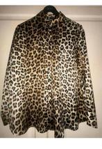 Zara blouse Satin maat m, Ophalen of Verzenden, Zo goed als nieuw, Maat 38/40 (M)