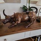 Bronze stier 50 cm l. Ophalen belgie puurs, Ophalen of Verzenden, Opgezet dier