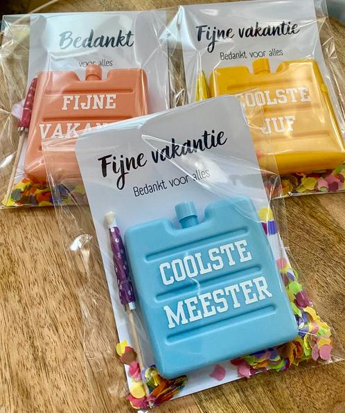 Pakketje Fijne Vakantie Juf Meester Algemeen, Hobby en Vrije tijd, Feestartikelen, Ophalen of Verzenden