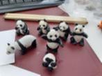 Verzameling panda's dierfiguren (geen Schleich), Ophalen of Verzenden, Gebruikt, Overige soorten, Beeldje of Figuurtje