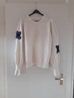 Fabienne Chapot Treboli pullover maat m valt ruim, Kleding | Dames, Truien en Vesten, Ophalen of Verzenden, Zo goed als nieuw