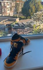 Jordans, Kleding | Heren, Schoenen, Ophalen of Verzenden, Zo goed als nieuw