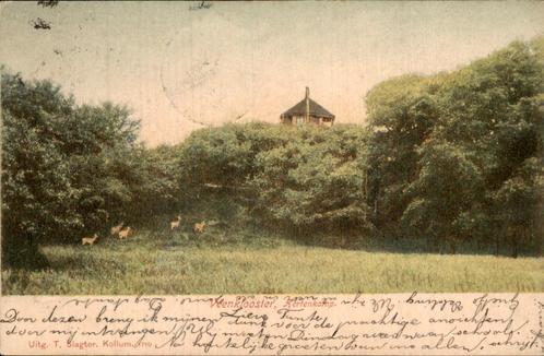 Hertenkamp Veenklooster, Verzamelen, Ansichtkaarten | Nederland, Gelopen, Friesland, Voor 1920, Ophalen of Verzenden