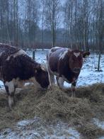 Ronde balen hooi, Ophalen