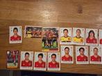 Panini EK 2012 Spanje, Ophalen of Verzenden, Zo goed als nieuw, Plaatje