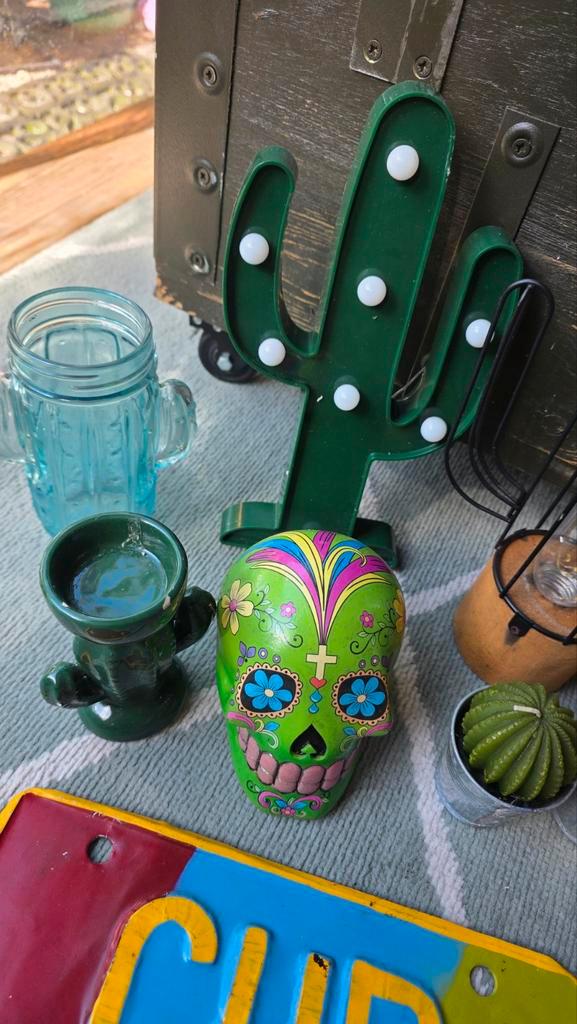 Mexico Cuba Cactus Decoratie Set, Huis en Inrichting, Woonaccessoires | Overige, Gebruikt, Ophalen