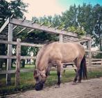 Bijrijdster verzorgster gezocht, verzorg paard aangeboden!, Ophalen