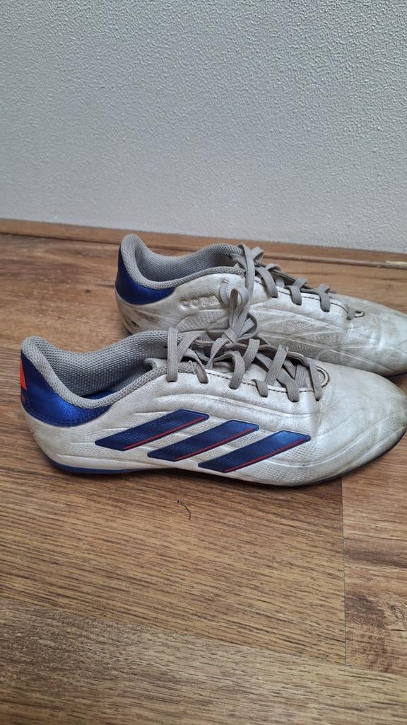Voetbalschoenen  coppa 36.5, Sport en Fitness, Voetbal, Maat XS of kleiner, Ophalen of Verzenden, Zo goed als nieuw, Schoenen