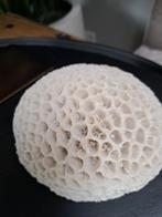Nep Koraal - Decoratief Woonaccessoire !!!, Huis en Inrichting, Woonaccessoires | Overige, Ophalen