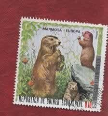 Fauna - Dieren - Marmot - Ecuatorial Guinee, Ophalen of Verzenden, Gestempeld, Dier of Natuur