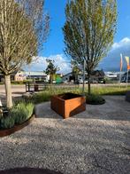 Adezz bloembak carrez 140x140x80 cortenstaal, Ophalen, Zo goed als nieuw, Metaal