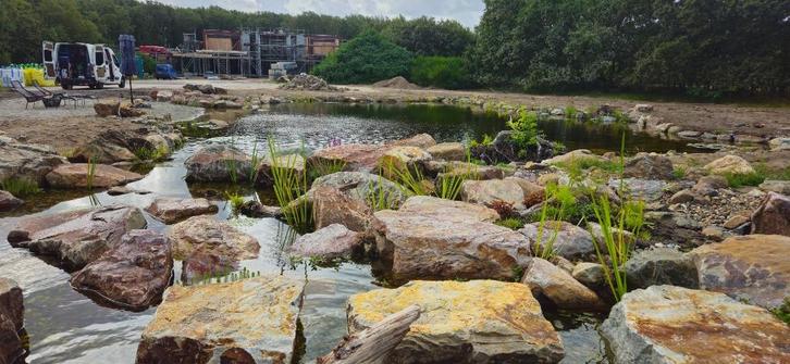 Ecosysteem natuurlijke zwemvijver aan laten leggen?, Tuin en Terras, Vijvers, Nieuw, Ophalen