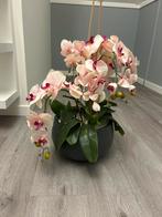 Kunst Orchidee in Pot - Prachtige Decoratie, Ophalen, Zo goed als nieuw, Binnen
