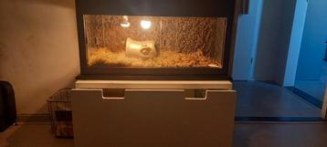 Terrarium met onderstel beschikbaar voor biedingen