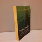 Ds. C.G. Vreugdenhil. Triomftocht., Ophalen of Verzenden, Gelezen, Christendom | Protestants
