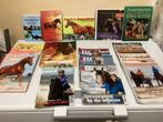 giga veel PENNY'S zomerboeken,tijdschriften,5 paardenboeken, Ophalen, Gelezen, Overige typen