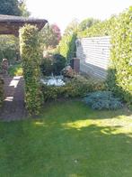 vijverbak, Tuin en Terras, Vijver-toebehoren, Ophalen, Gebruikt, Overige typen