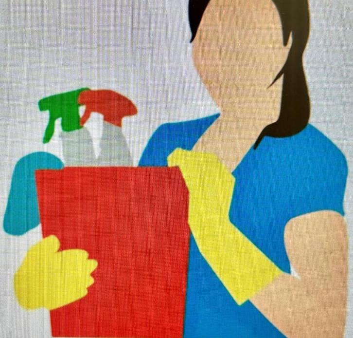 Schoonmaakster gezocht Haaksbergen, Diensten en Vakmensen, Huishoudelijke hulp, Schoonmaken