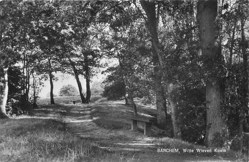 (387-174-011) Barchem Witte Wieven Koele, Verzamelen, Ansichtkaarten | Nederland, Gelderland, Verzenden