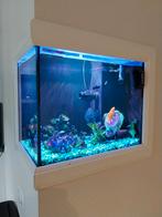 Volledige zee aquarium, Ophalen