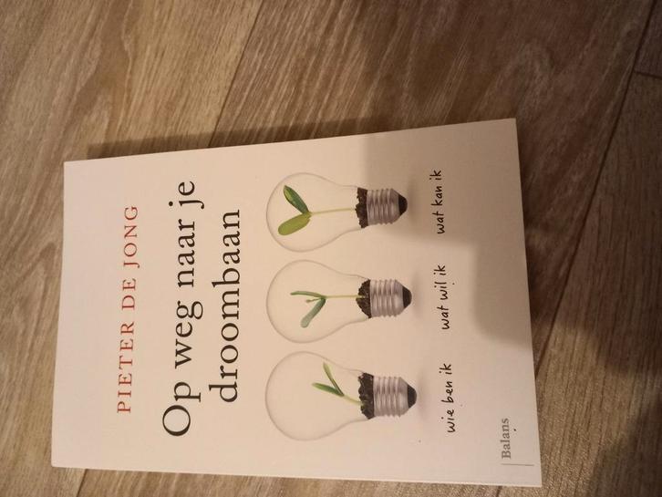 Pieter de Jong - Op weg naar je droombaan, Boeken, Politiek en Maatschappij, Zo goed als nieuw, Nederland, Ophalen of Verzenden