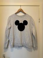 Disney/Zara sweater dames M, Maat 38/40 (M), Ophalen of Verzenden, Zo goed als nieuw, Zara/Disney
