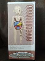 Human organ model, Ophalen of Verzenden, Zo goed als nieuw