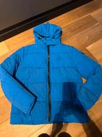 Malelions winterjas M, Kleding | Heren, Ophalen of Verzenden, Nieuw, Blauw