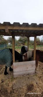 Verzorg(st)er paarden - track/ stallen mesten, hooi voeren.